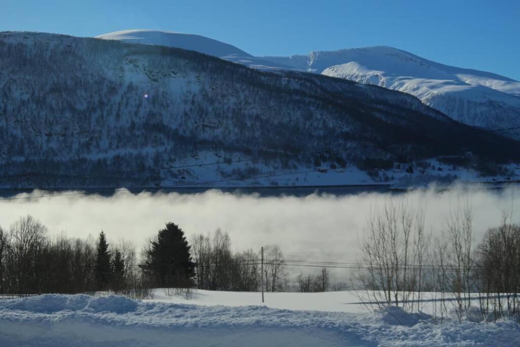New Magnificent View Near The Centre Lejlighed *