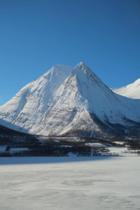 New Magnificent View Near The Centre Tromso