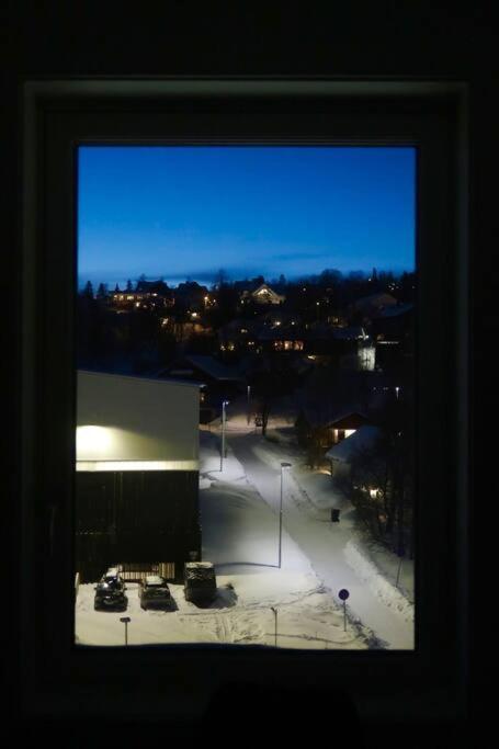 New Magnificent View Near The Centre Apartment Tromso
